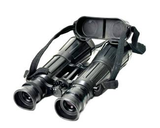 Carl Zeiss Dialyt  8x56 B Vintage Binoculars in Case 8x56B	Case: 10.5x6.25x3in		940002