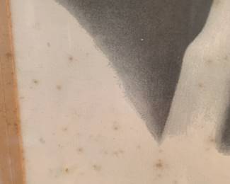 Signed & numbered lithograph, Stevie Nicks of Fleetwood Mac