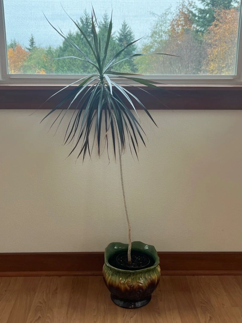 Poulsbo Estate Online Auction starts on 11/11/2023