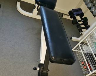 Workout Bench