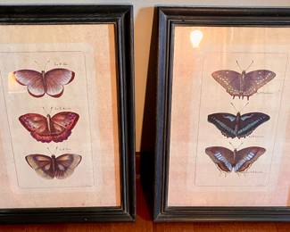Butterfly Framed Decor