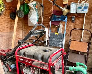 Briggs and Stratton Elite Series 8000 Watt Generator, Lawn Mowers, Ladders