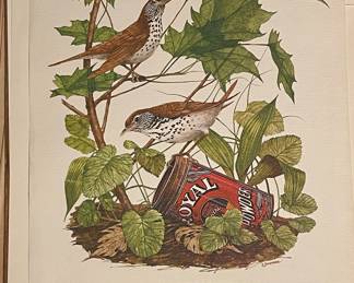 Wood Thrush By R. Dorman