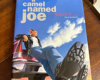 "a camel named joe" book illustrated story of an American bu David Desmith