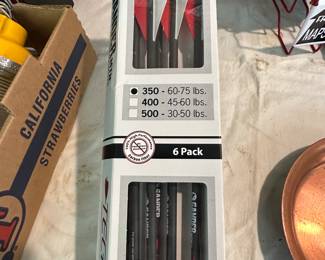 GANDER MOUNTAIN arrows - new in box