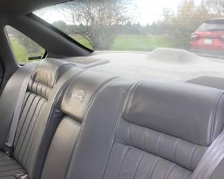 Rear Seat area and Back Window Area