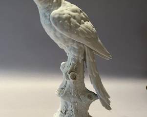 White Capodimante Parrot Perched On A Branch