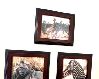 Framed Prints 
