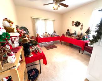 View of Holiday Room 