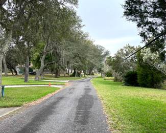 Very narrow street - Due to high tide, rain and sprinklers, neighbors do not want anyone parking on the street 