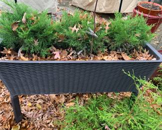 there are two of these