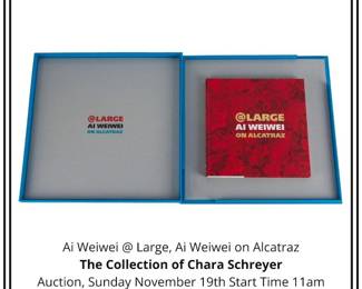 Ai Weiwei Large, Ai Weiwei on Alcatraz