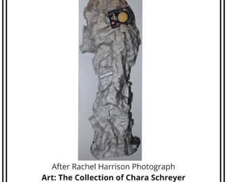 After Rachel Harrison Photograph