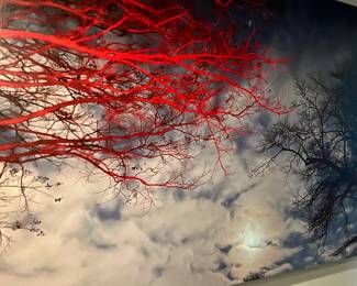 Stunning large Artwork