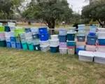 TONS OF STORAGE BINS