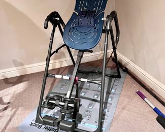 Teeter Hangups, Inversion Table