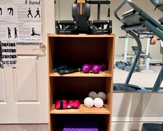 Weights, Shelf and Fitness Equipment