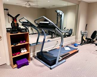 Nordic track Treadmill, Weights, Shelf, Work Out Equipment