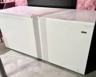 Large Deep Freezer
