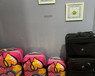 Luggage in excellent condition