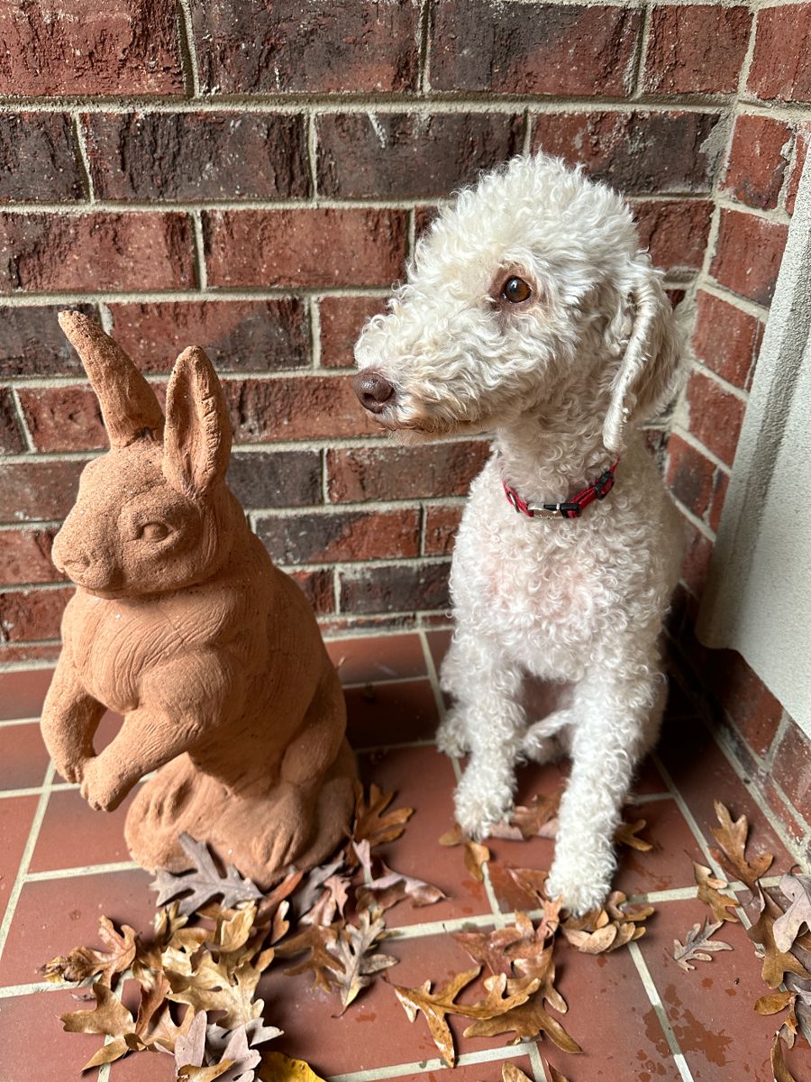 Both are hoping to see you!