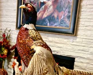 TAXIDERMIED PHEASANT.