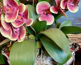 FRENCH JARDINIERE WITH ORCHIDS.