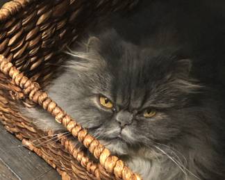 20% off by showing this on a regular priced item 