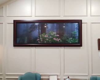 "Among the Redwoods" 