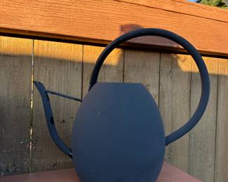 Matte Black Watering Can