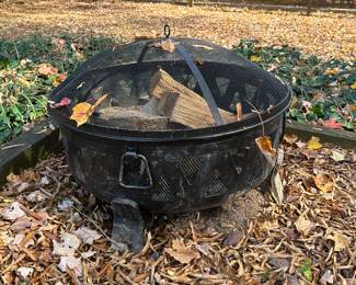 Firepit (wood inside included)