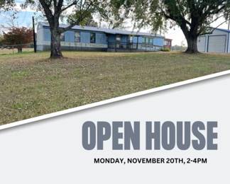 preview is Nov 20th 2 to 4 pm