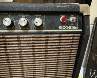 $100 Yamaha G100-212