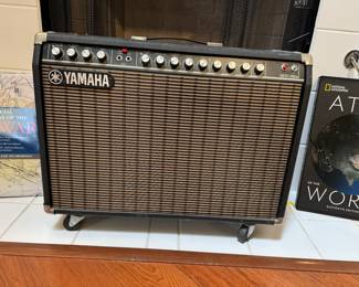 $100 Yamaha G100-212