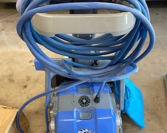 Dolphin pool cleaning system