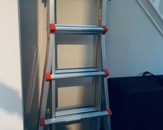 Little giant ladder