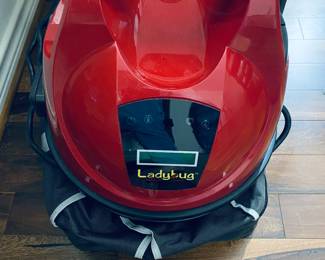 Ladybug steam cleaner