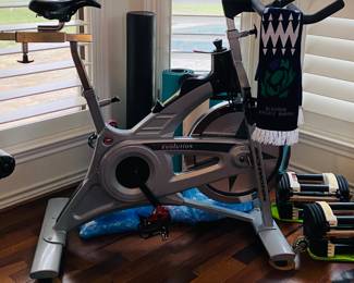 Schwinn Evolution exercise bike