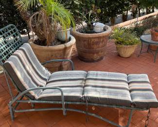 great pots and mature plants