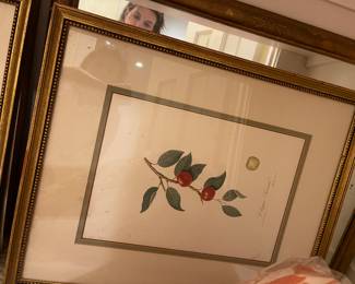 Botanical print with cherries