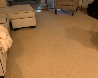 14. 5' x  10.3' Berber beige carpet