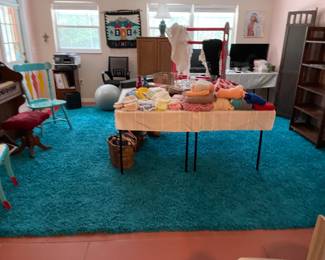 Large shag rug clean & beautiful