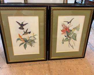 Pair Hummingbird Prints - $300 Pair (26 1/2” x 35”)
