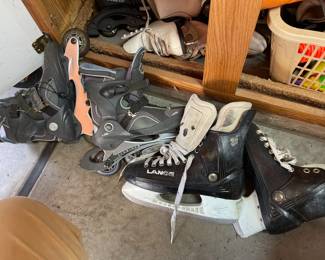 Ice and roller skates 