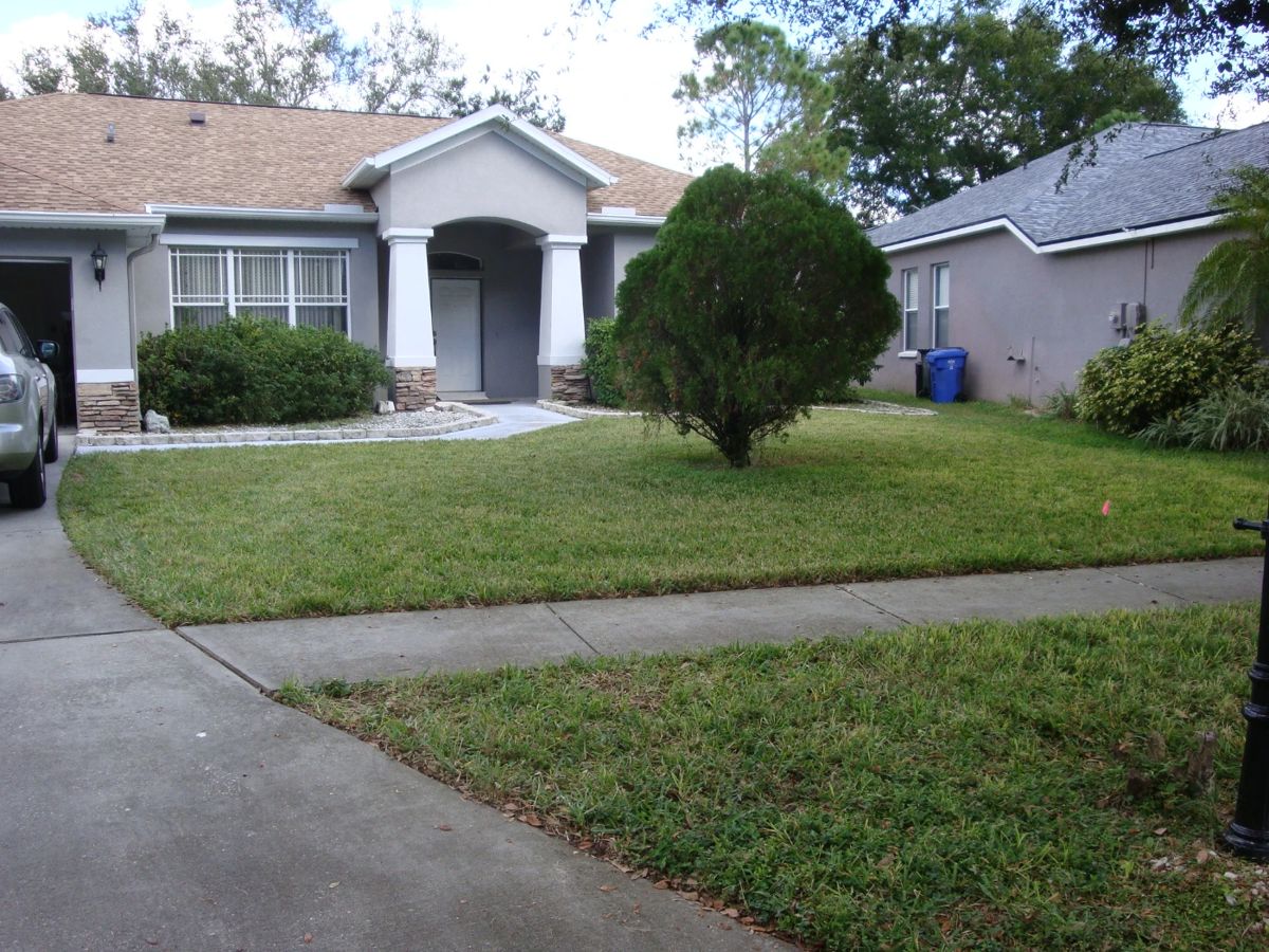 ANGELL ESTATE SALES in Valrico, FL starts on 11/17/2023
