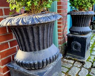 Pair Black Cast Planters with Boxwoods $265 or bid #123