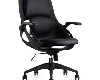 ALL33 BackStrong Ergonomic Task Chair $165 or bid #62