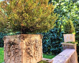 Pair Square Concrete Floral Planters with Trees bid #125