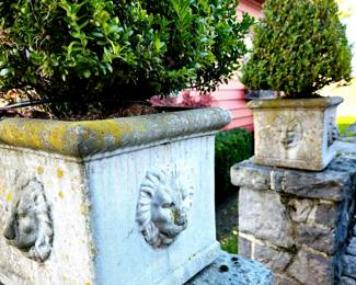 Pair Concrete Lion Planters with Boxwoods (L) $249 or  bid #122