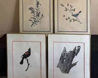 Ray Harm Wildlife Prints